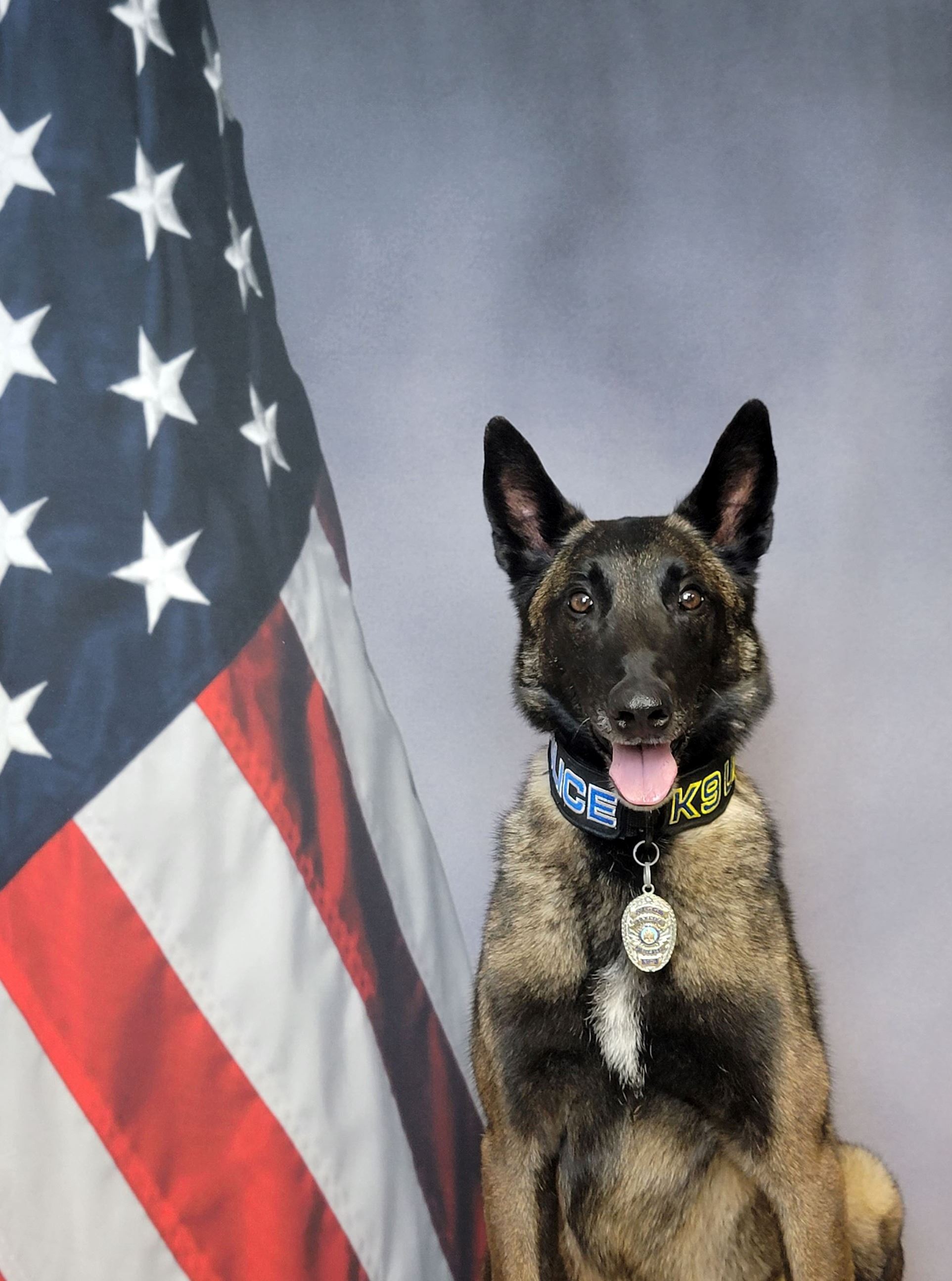 K-9 Riggs