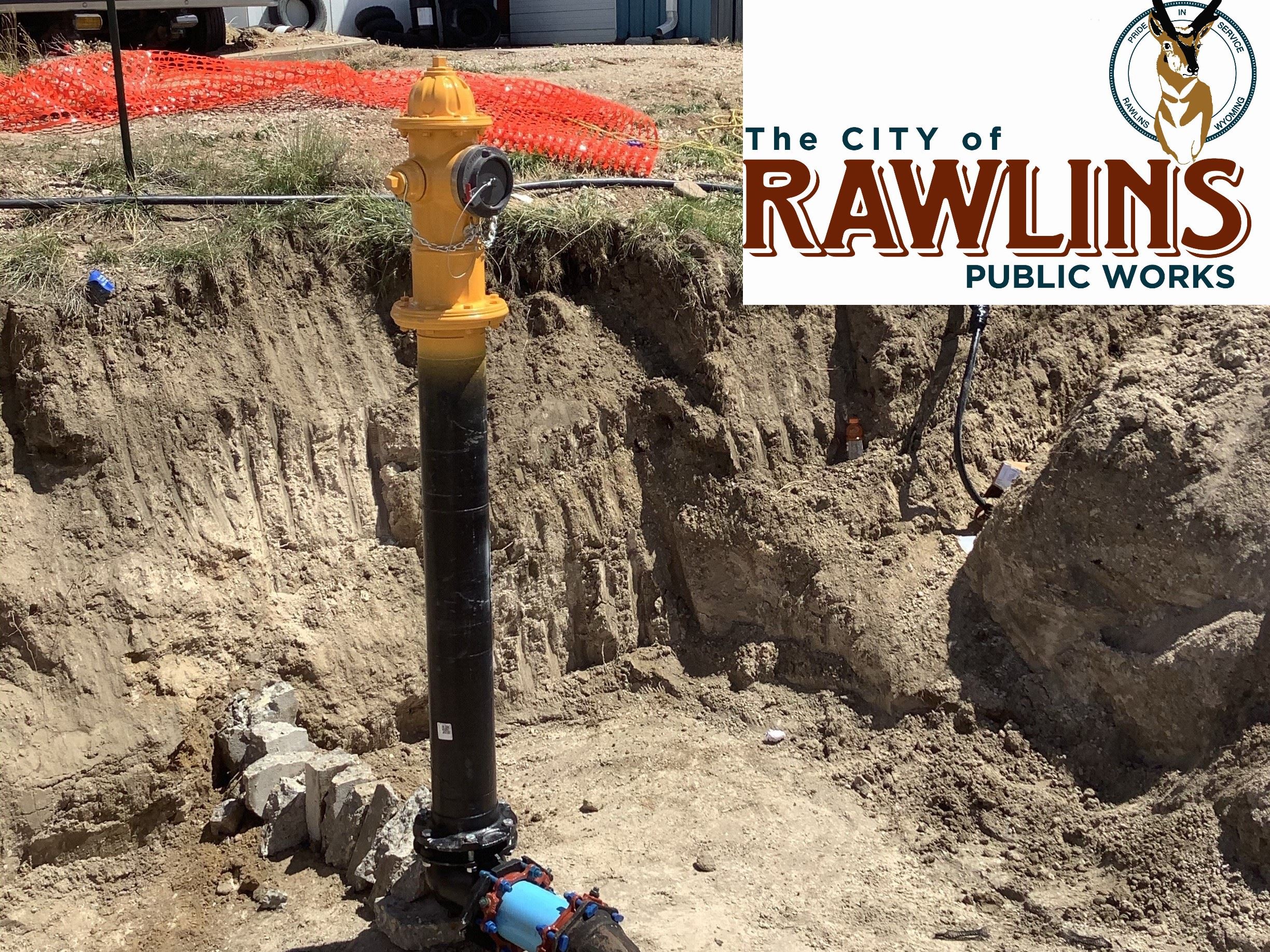 Public Works Logo Fire Hydrant