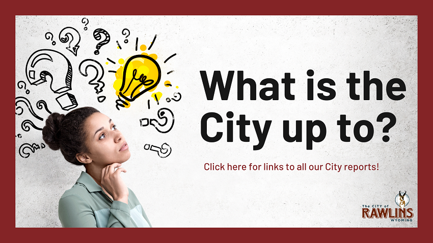 Homepage Link  - reports