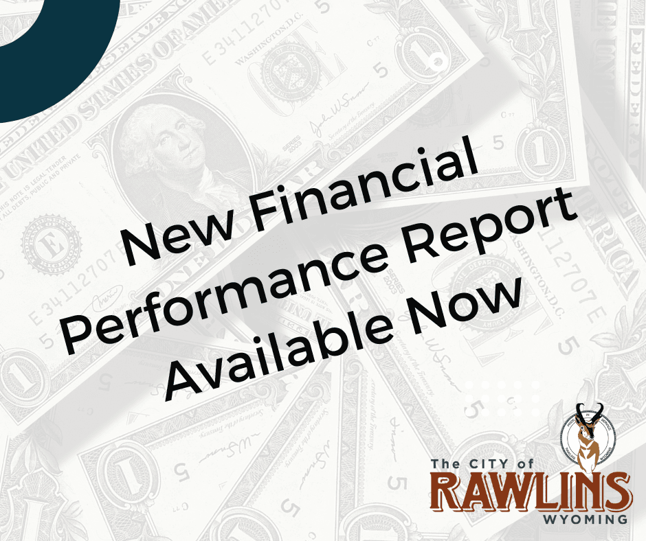 Financial Performance Report Image
