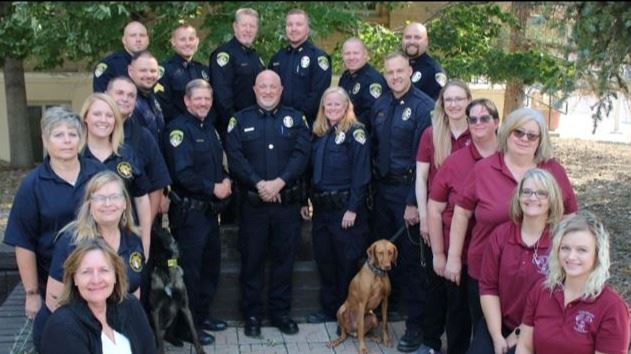 WEB PAGE PIC V3 2020