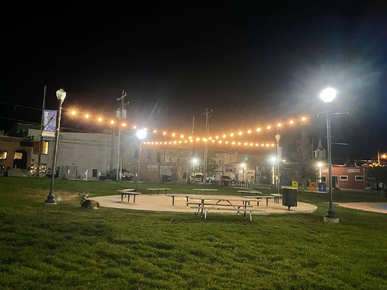 Depot Park Lights