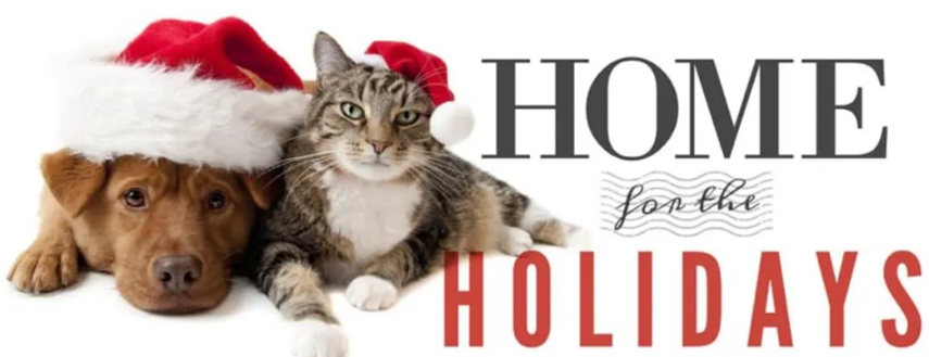 Home of the Holidays graphic