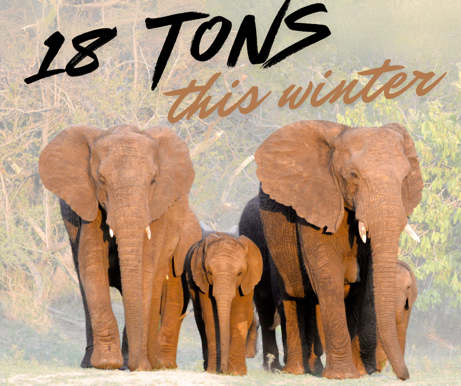 18 Tons of cold Patching