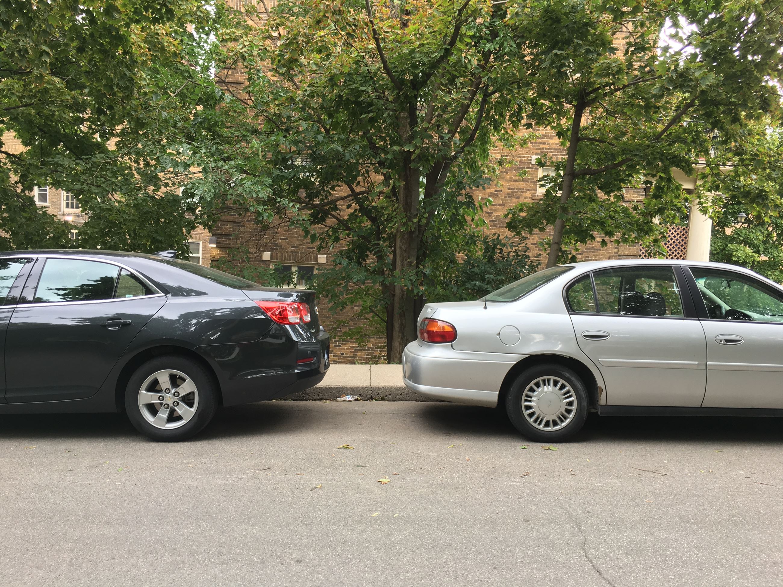 cars facing wrong way
